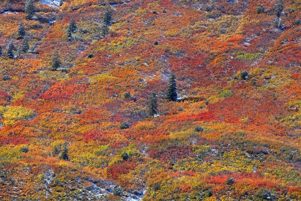Outono no topo da montanha — Fotografia de Stock