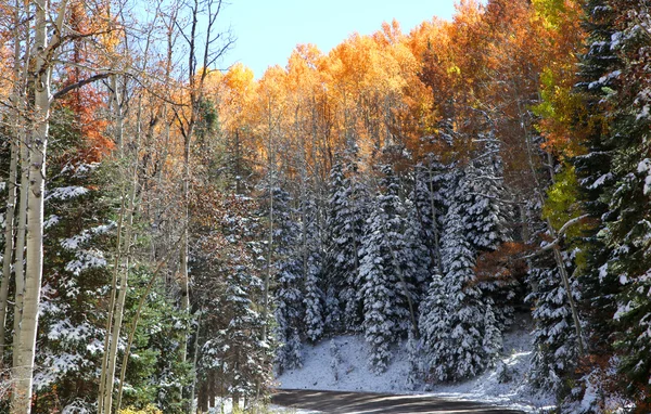 Kebler Pass im Winter — Stockfoto