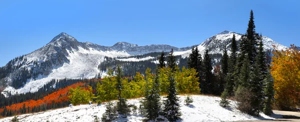 Winter in Colorado — Stockfoto