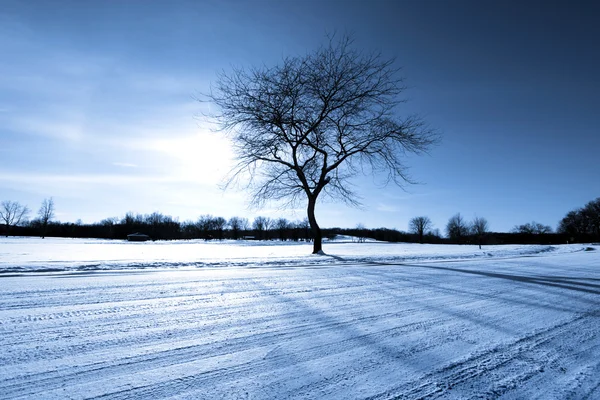 Vinterlandskap — Stockfoto