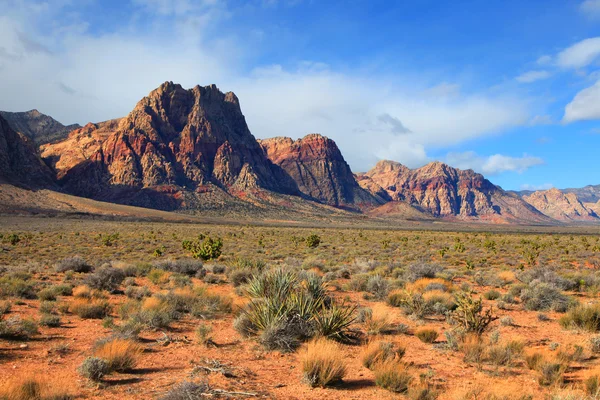 Red rock canyon landscape — Stock Photo, Image