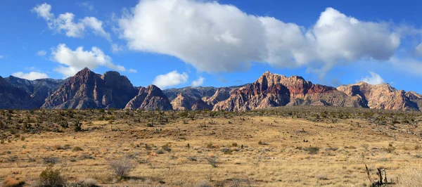 Red rock canyon landskap — Stockfoto