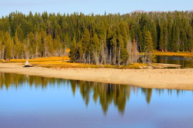 Yellowstone landscape