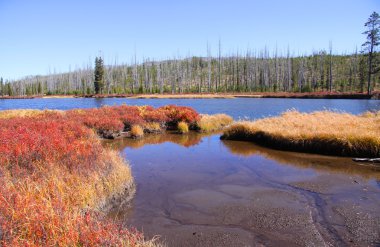 doğal yellowstone