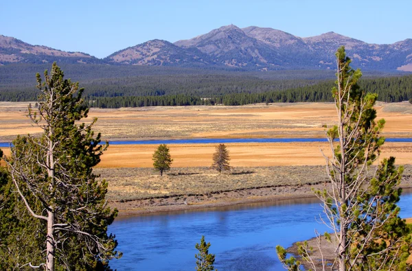 Yellowstone річки сцени — стокове фото