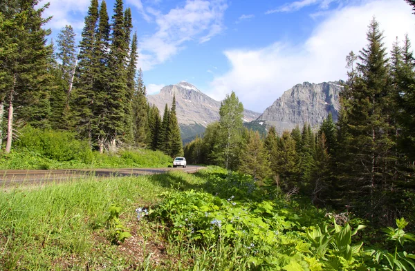 Scenic by way Going to sun road — Stock Photo, Image