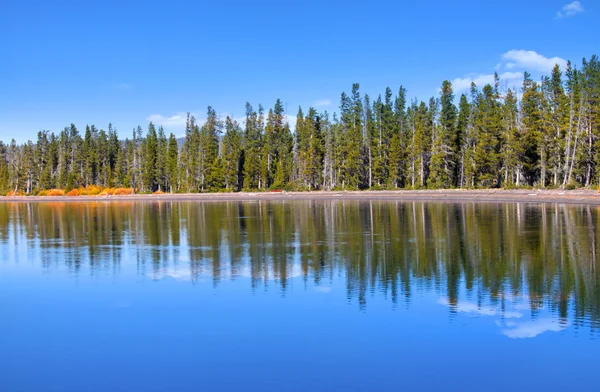 Reflexões perfeitas — Fotografia de Stock