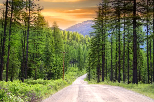 Scenic rural drive in Montana