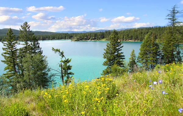 Dickey lake Montana — Stock Photo, Image