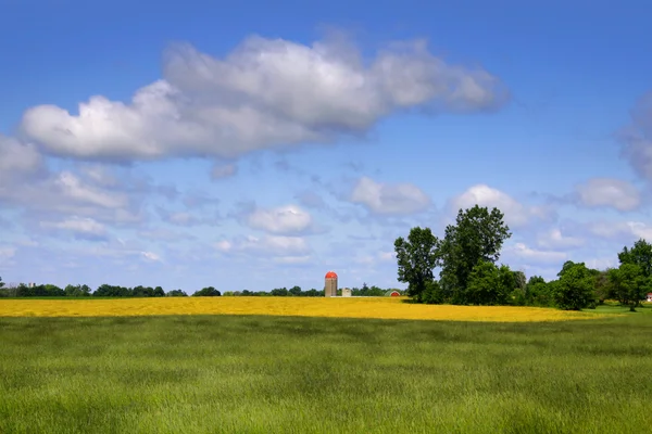 Boerderij landschap — Stockfoto