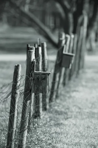 Cajas nido aves — Foto de Stock