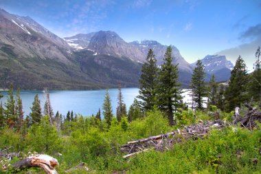 doğal glacier Ulusal Parkı