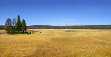 Yellowstone Milli Parkı