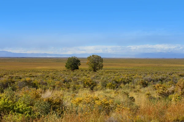 Paesaggio prateria — Foto Stock