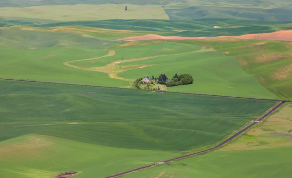 Zemědělské pozemky u Palouse — Stock fotografie