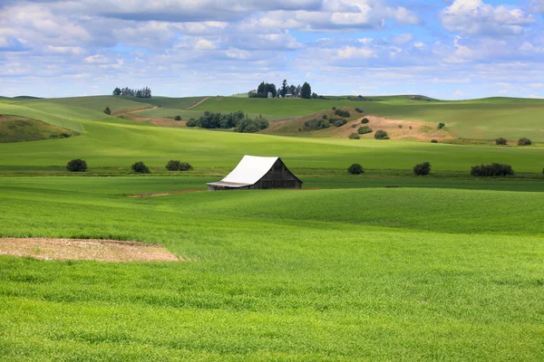 Сцена на ферме в штате Вашингтон — стоковое фото