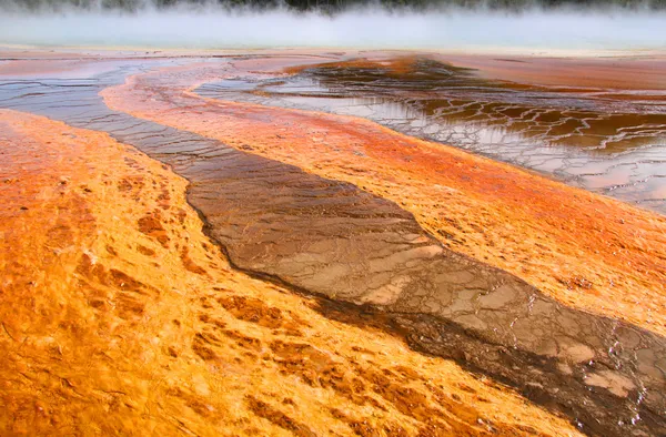 Геотермальная активность в Йеллоустоне — стоковое фото