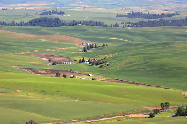 Prachtige palouse landschap — Stockfoto