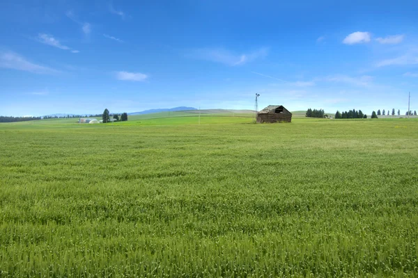 Paisagem palouse — Fotografia de Stock