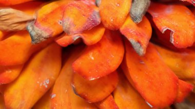 Zinnia çiçeğinin kuru taç yapraklarını yakın çekim