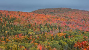 Brockway dağlarının sonbahar zamanı Michigan yarımadasında bulutlu gökyüzü manzarası