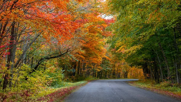 Herbstliches Laub Entlang Der Malerischen Nebenstraße Zum Presque Isle State — Stockfoto
