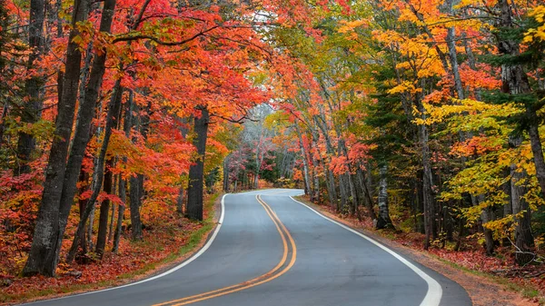 Tunnel of trees in autumn time along scenic byway M41 in Keweenaw peninsula in Michigan upper peninsula