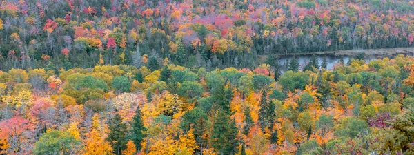 Panoramisch Uitzicht Bladerdak Van Kleurrijke Bomen Brockway Bergen Tijdens Herfst — Stockfoto