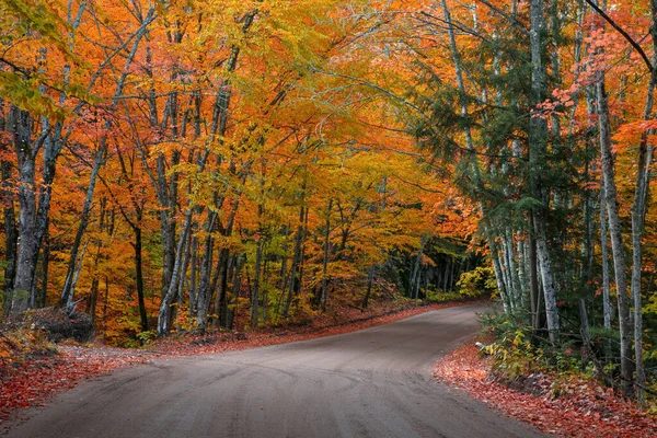 Тоннель Осенних Деревьев Живописной Проселочной Дороге 510 Верхней Части Мичиганского — стоковое фото