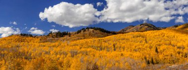 Utah 'taki Wasatch dağ sırasının panoramik manzarası parlak sonbahar yapraklarıyla kaplı. .