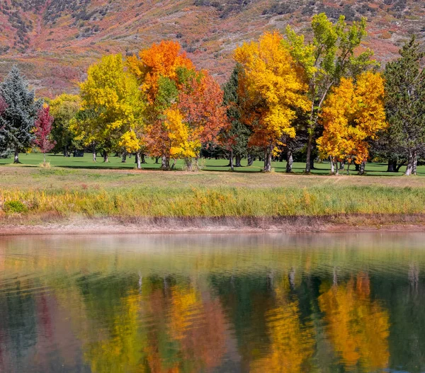 연안을 가을이 나무들 이호수에 반사되어 나무들 — 스톡 사진