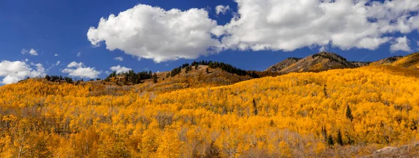 Panoramablick Wasatch Gebirgskette Utah Mit Hellem Herbstlaub Bedeckt — Stockfoto