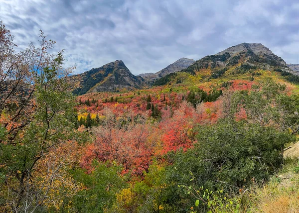 Colorido Follaje Otoñal Monte Timpanogos Día Nublado Desde Bucle Alpino —  Fotos de Stock