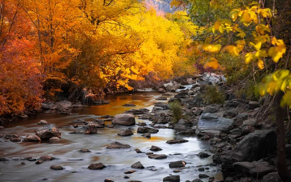 Ogden Nehri Nde Akan Sular Utah Taki Parlak Sonbahar Ağacı — Stok fotoğraf