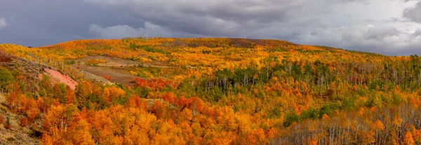 Вид Яркой Цветной Осенней Листвы Горы Кристобаль Штате Юта — стоковое фото