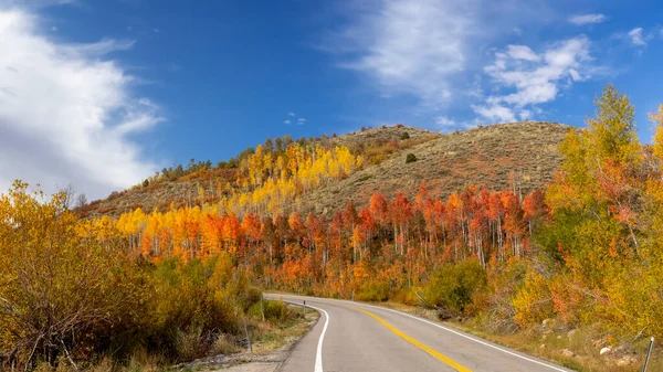 ユタ州の風光明媚なバイパス39号線沿いの秋の時間に明るいアスペンの木 — ストック写真