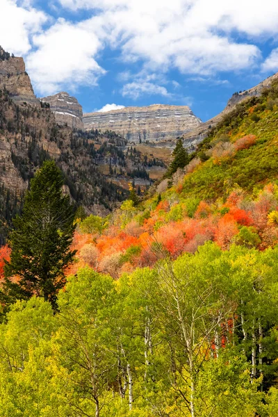 Červené Zelené Barevné Stromy Během Podzimního Času Kaňonu American Fork — Stock fotografie