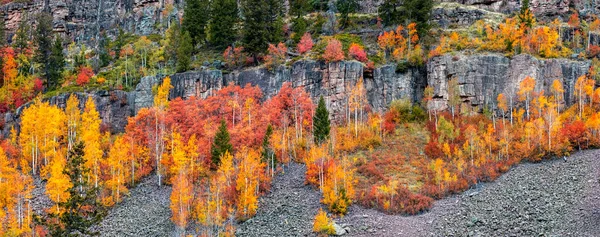 Vista Panorámica Coloridos Árboles Aspen Durante Otoño Ladera Rocosa Montaña — Foto de Stock