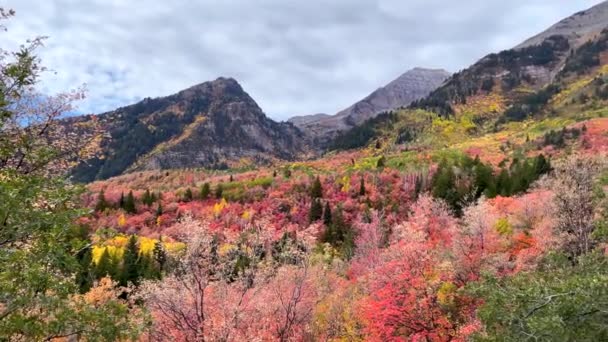 秋天的廷帕诺戈斯山景 山坡上叶色鲜亮 — 图库视频影像