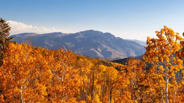 ユタ州の紅葉に囲まれたネボループからの大胆な山のピーク — ストック写真