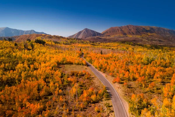 Feuillage Automne Brillant Dans Région Sauvage Mont Nebo Long Boucle — Photo