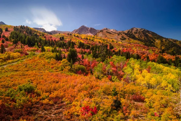 Légi Kilátás Snow Basin Utah Tele Ragyogó Őszi Lombozat Közelében — Stock Fotó