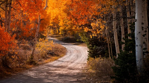 Escénica Carretera Rural Utah Través Túnel Oro Árboles Rojos Otoño — Foto de Stock