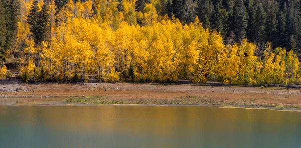 犹他州佩森湖娱乐区佩森湖边五彩缤纷的杨树 — 图库照片