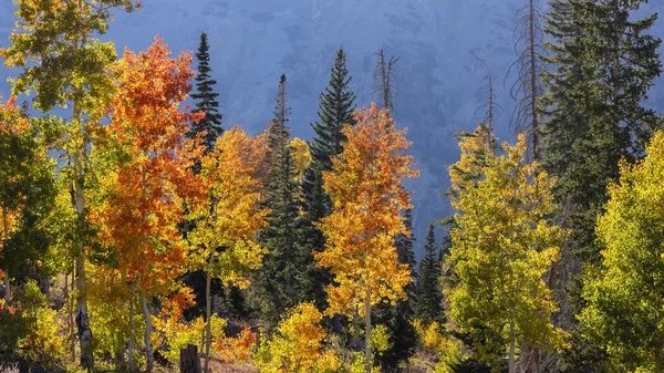 Arbres Couleurs Brillantes Sur Fond Montagne Pendant Automne Nebo Dans — Photo