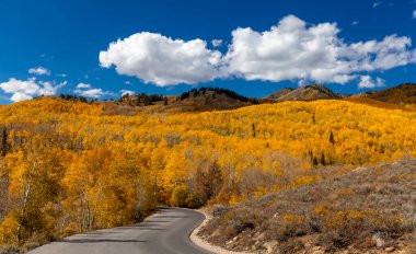 Colorful fall foliage at Wasatch mountain state park in Utah clipart