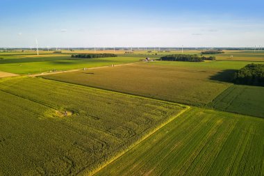 Michigan kırsalındaki Soya fasulyesi tarlalarının hava görüntüsü