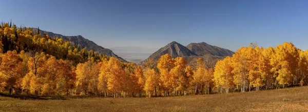 Vista Panorámica Los Árboles Álamo Amarillo Brillante Frente Pico Montaña —  Fotos de Stock