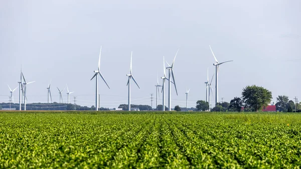 Veel Windmolens Tussen Soja Velden Michigan Platteland — Stockfoto