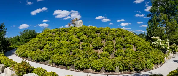 Vista Panorámica Una Pequeña Colina Con Plantas Jardín Japonés Jardín —  Fotos de Stock
